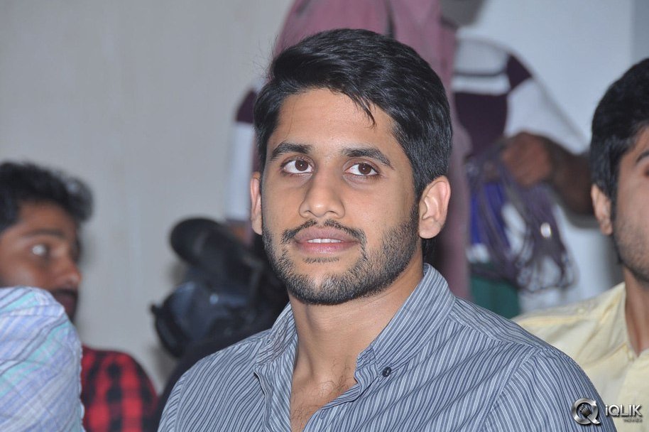 Oka-Laila-Kosam-Movie-Success-Meet